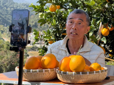 十堰最忙五人组事件：多责任人被免职，权力监督再敲警钟