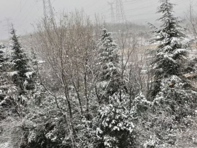 青岛初雪狂欢记