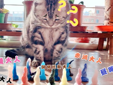 小猫的温馨哈气：冬日里的温暖瞬间